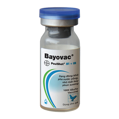 Bayovac® Poulshot® B1 IB