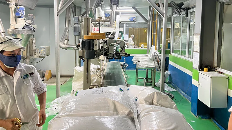 Dây chuyền đóng gói nhà máy Màu Xanh