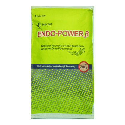 Endo Power B