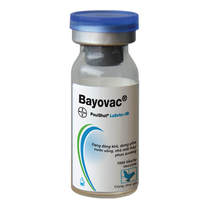 Bayovac® Poulshot® Lasota + IB