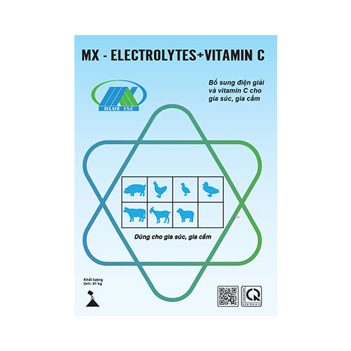 Mx - Electrolytes + Vitamin C
