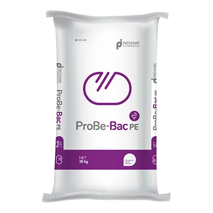 Probe-Bac PE