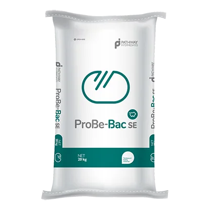 Probe-Bac SE