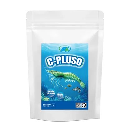 CM 6567 C - PLUSO