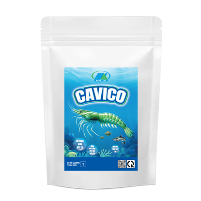 CM6564 Cavico