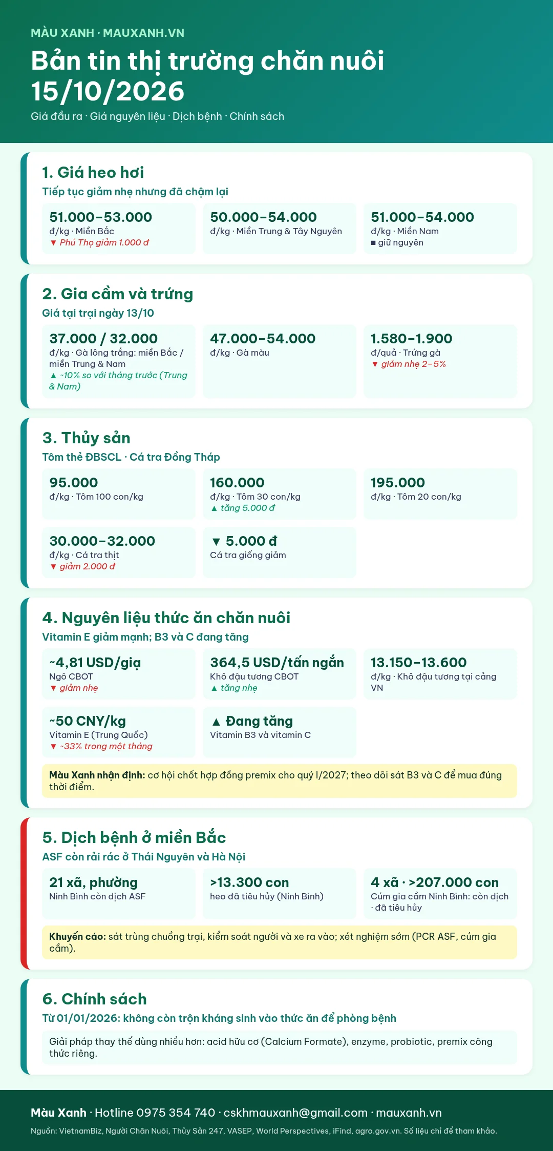 Infographic bản tin thị trường chăn nuôi 15/10/2026