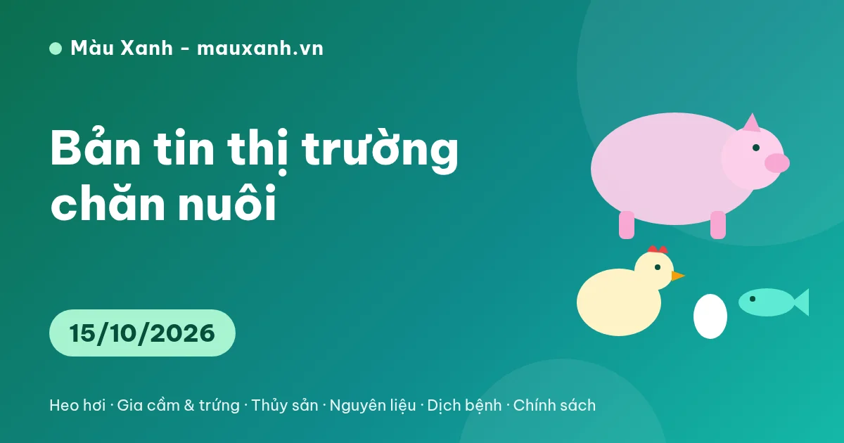 Bản tin thị trường chăn nuôi ngày 15/10/2026