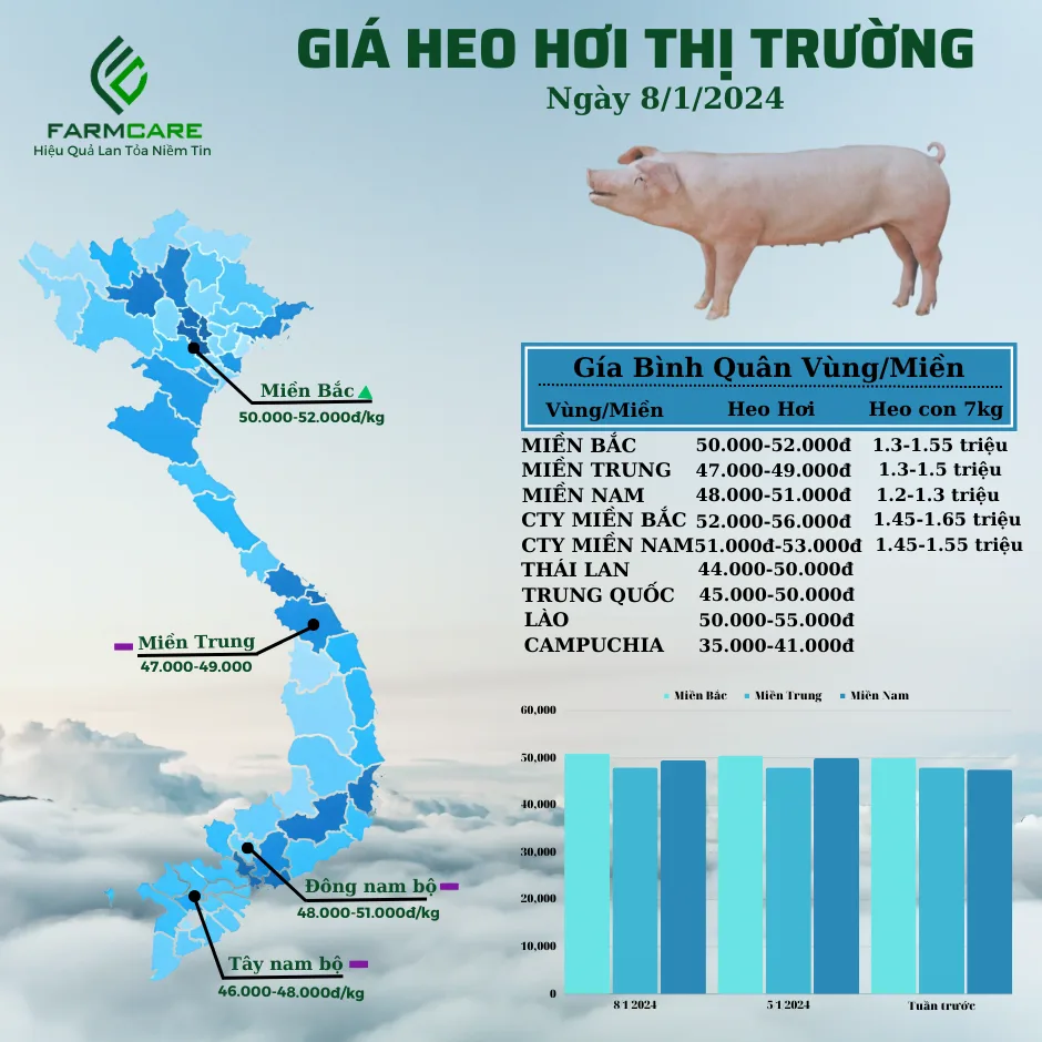 Bản Tin Thị Trường Ngày 16/10/2026: Xu Hướng Giá Heo Hơi 3 Miền & Biến Động Nguyên Liệu TĂCN Thế Giới